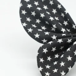 Pinza mariposa negra micro estrellas